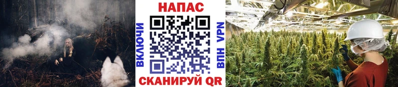 Где продают наркотики Орск Конопля Мефедрон