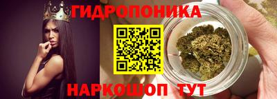 мдпв Нальчик