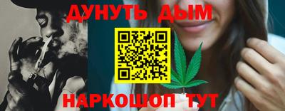 МДПВ Гагарин