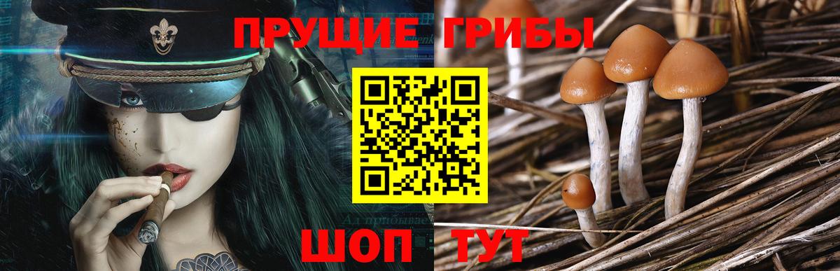 Галлюциногенные грибы Cubensis  Вход с VPN  Галлюциногенные грибы MAGIC MUSHROOMS  закладка  Орск 