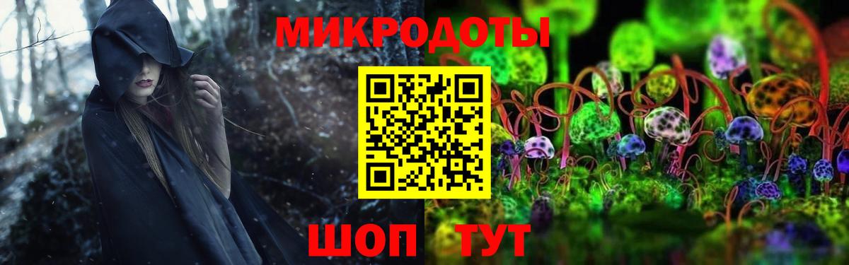 Псилоцибиновые грибы Cubensis  Псилоцибиновые грибы Cubensis  Орск 