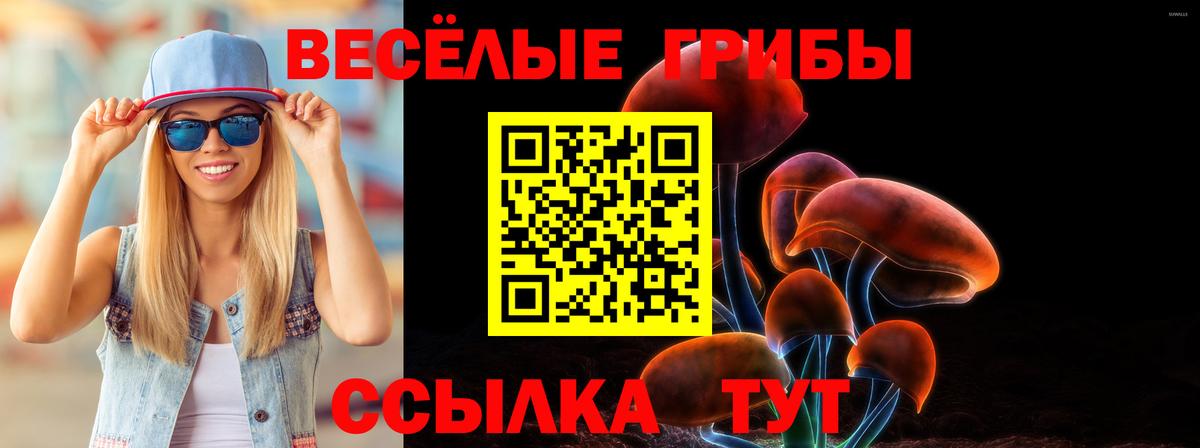 Псилоцибиновые грибы GOLDEN TEACHER Орск